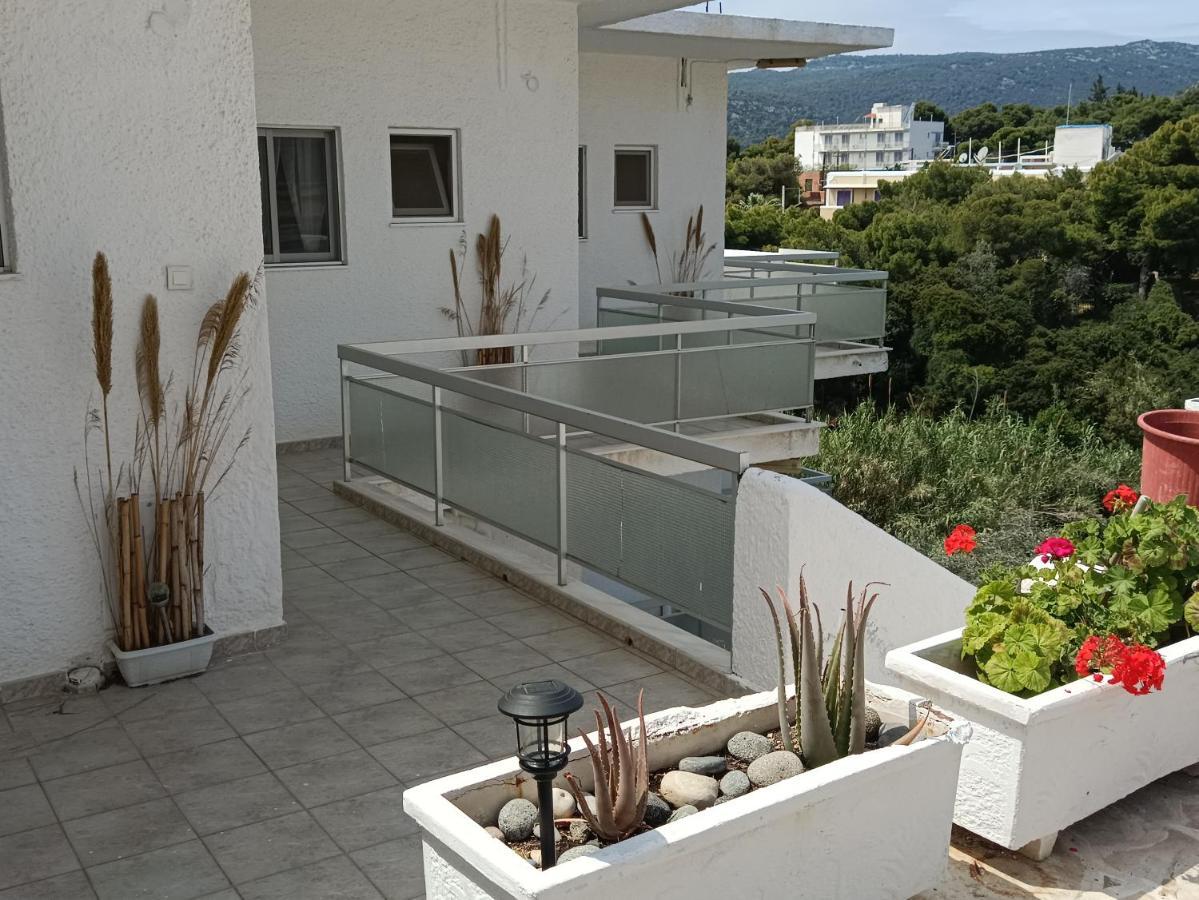 Meltemi Apartments Agia Marina  Buitenkant foto